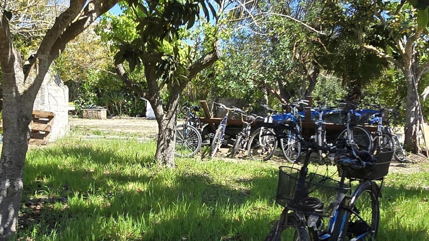 Alghero In Bicicletta Екстер'єр фото
